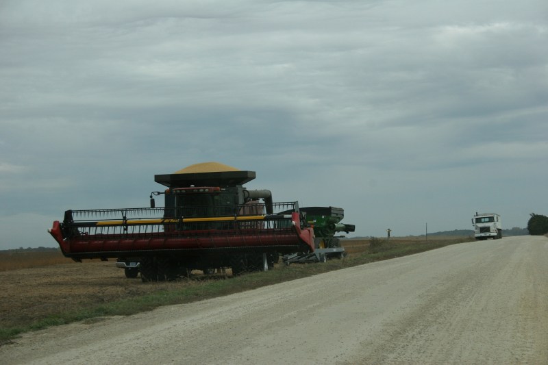 Harvesting just south of Faribault off Rice County Road 45.