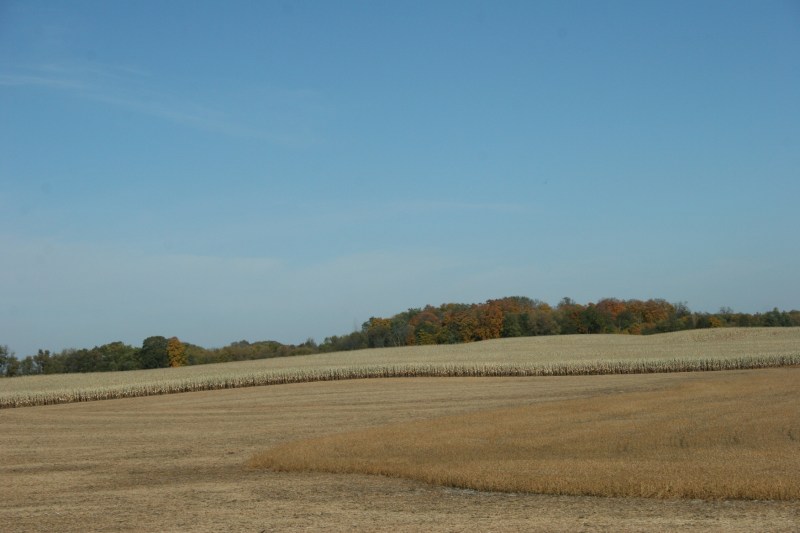 Rural Rice County, Minnesota, west of Faribault.