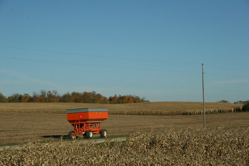 In rural Rice County, a wagon at the harvest ready.