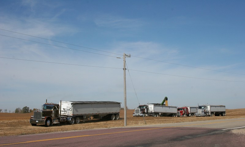 Semis await the harvest in southeastern LeSueur County.