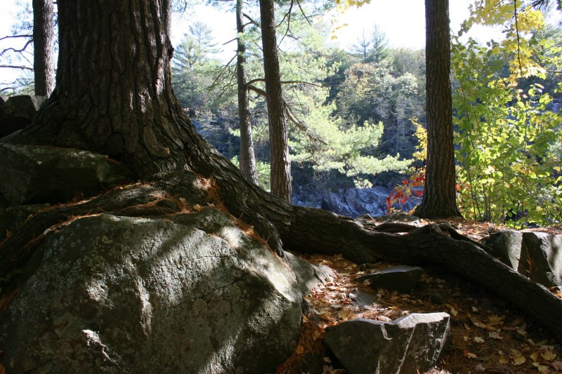 Rocks pock the ground in both parks.