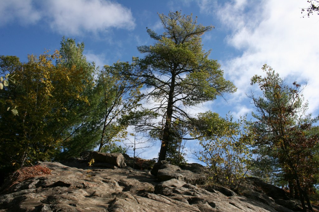 Somehow trees grow seemingly right out of the rock.
