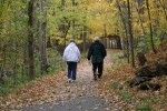 Nature center, couple walking in&nbsp;woods