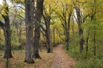 Nature center, path through woods