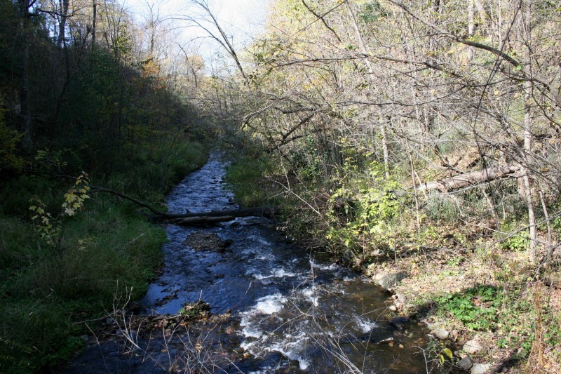 A shot of Osceola Creek, which rushes into the St. Croix River.