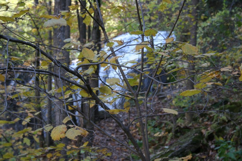 The falls through the trees.