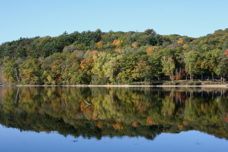 Reflections, like watercolor on water.