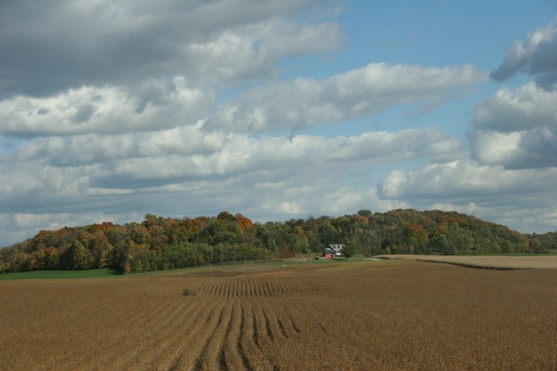 Rural, house by trees