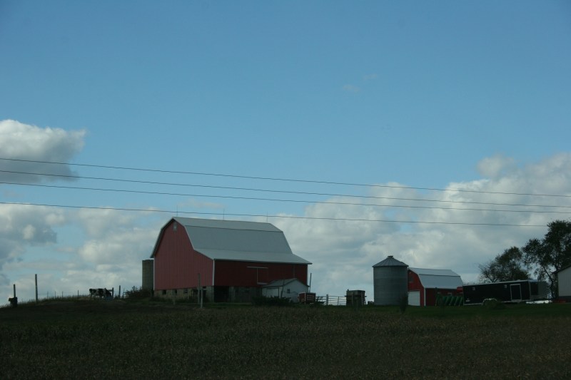 Rural, red barn and lone cow
