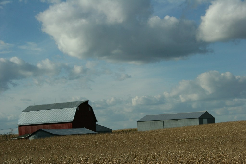 Rural, red barn, fields and grey sheds