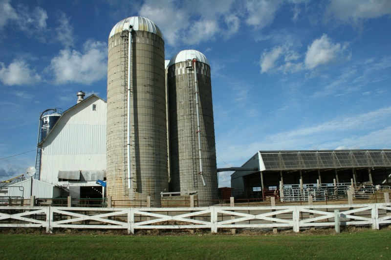 Rural, white barn and silos
