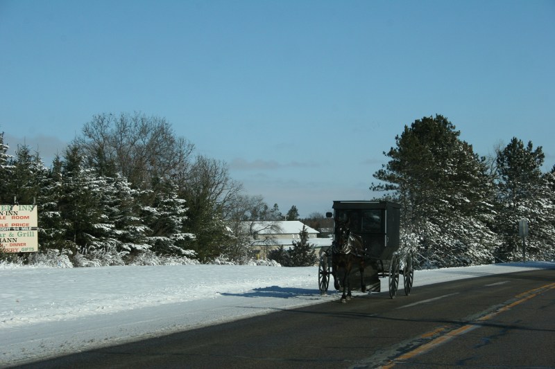 Amish buggy 1