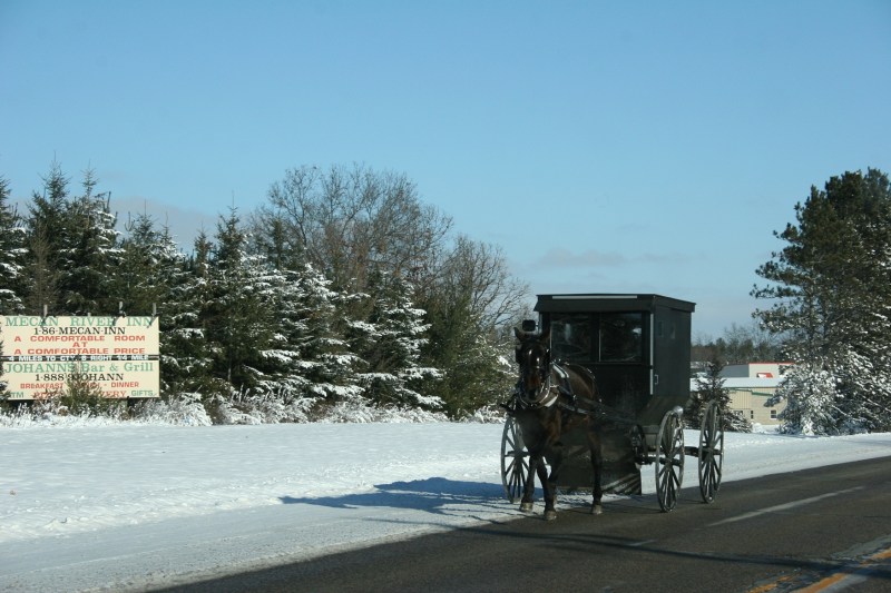 Amish buggy 2