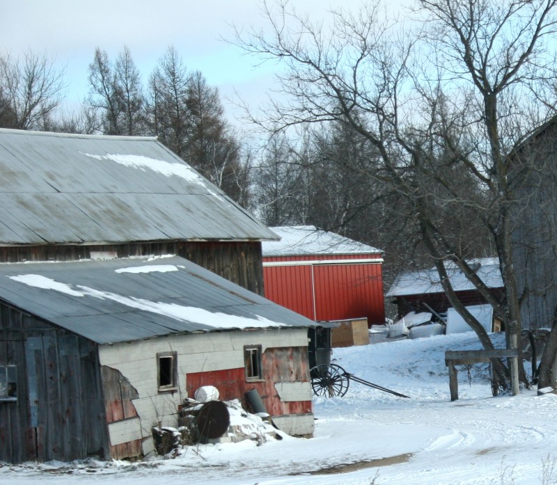 I always watch for Amish farms in the Coloma, Wisconsin, area.