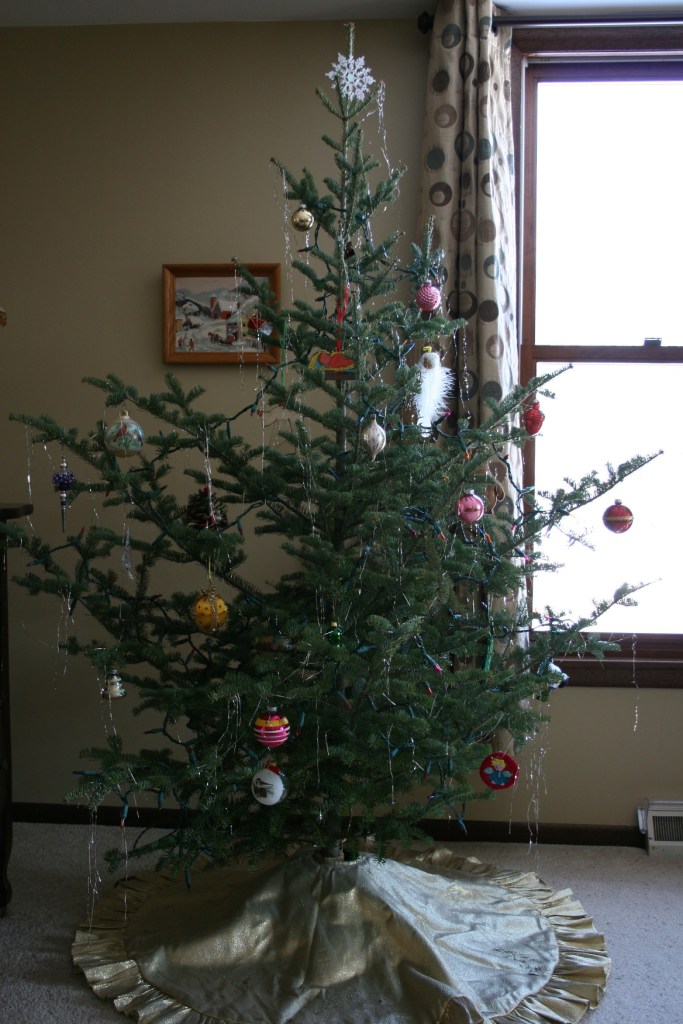 My Charlie Brown tree, an untrimmed Christmas tree purchased for $12 at a tree lot in Faribault.