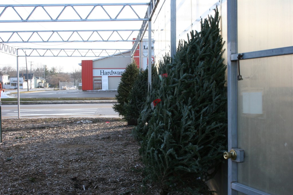 There are plenty of trees to choose from inside and outside the historic Farmer Seed and Nursery.