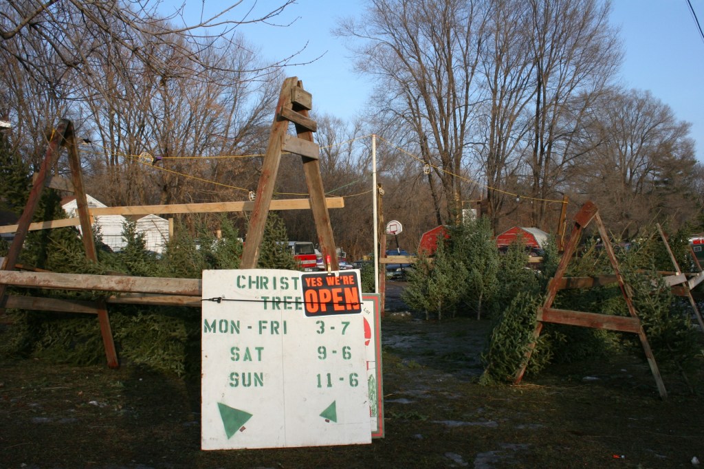 Ken leases land from the Kuntze family for his seasonal tree lot.