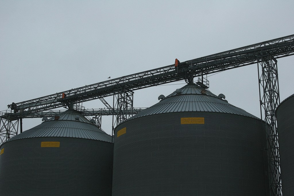 Grain bins, like these in Sleepy Eye, mark the prairie.