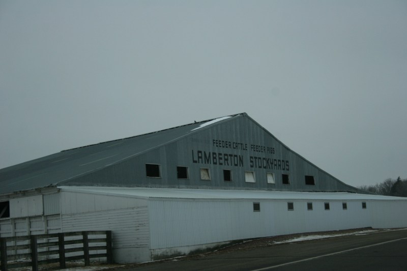 Entering Lamberton from the east, the Lamberton Stockyards.