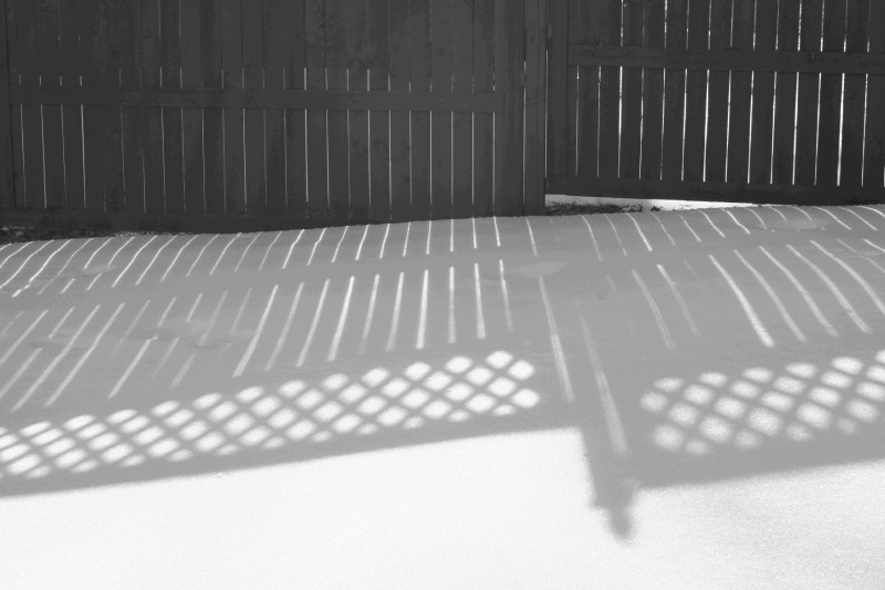 Fence shadows on the snow.