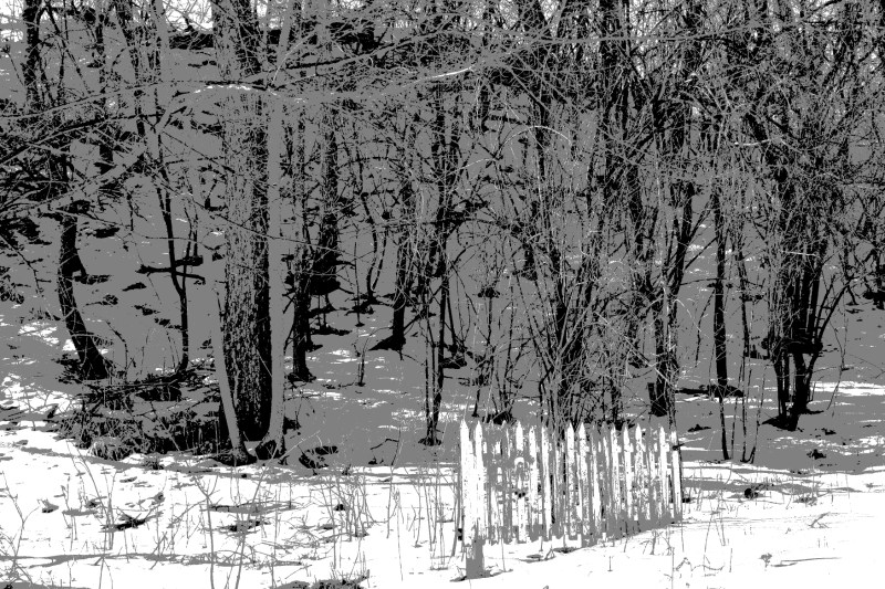 A view from and in my backyard.