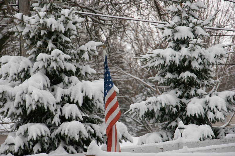 My neighbor's flag pops color into the white landscape.