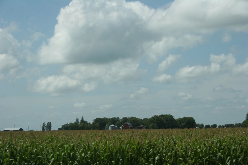 Somewhere in northeastern Iowa.