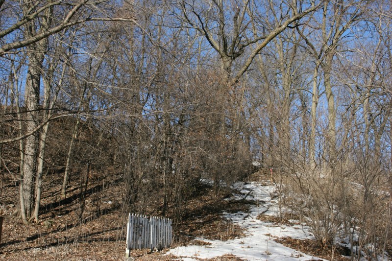 The wooded hillside in my backyard blocks the view of my entire neighborhood.
