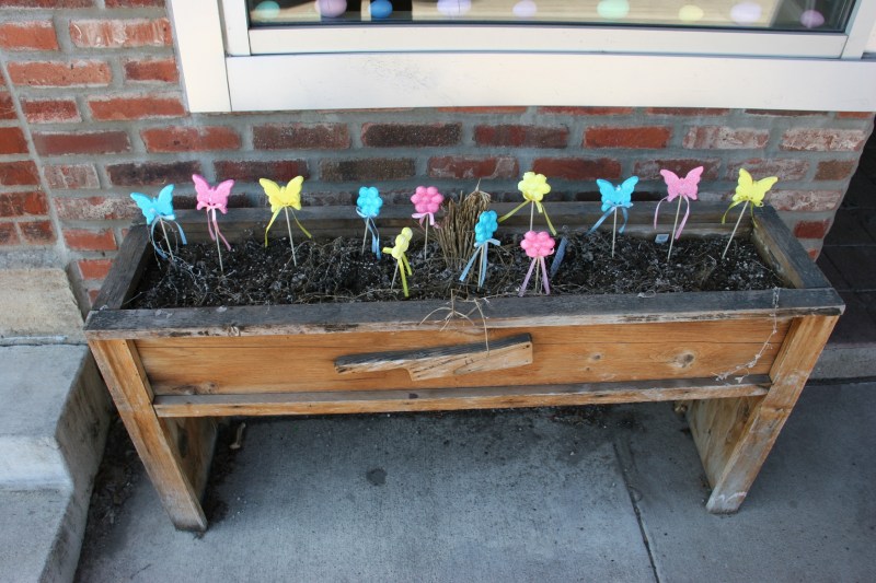 I spotted the spring scene in a flower box outside a downtown business.