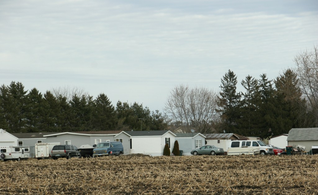 Driving out of town, I shot this image of Pine Island's mobile home court across the cornfield.