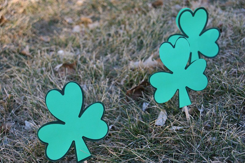 Shamrock, trio of