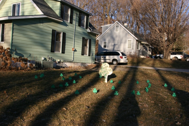 The scene in my yard this St. Patrick's Day.