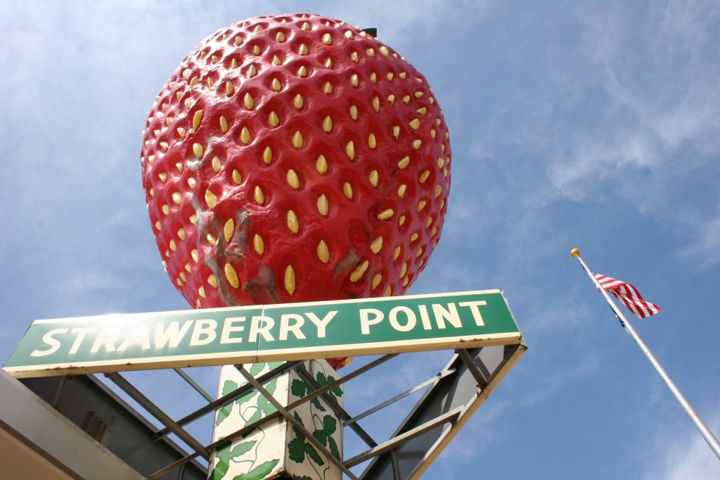 The world's largest strawberry sculpture is made of fiberglass, weighs 1,430 pounds, is 15 feet high, 12 feet wide and was constructed in 1967.