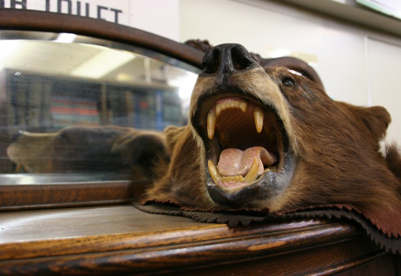 An unexpected scene as I rounded a corner.