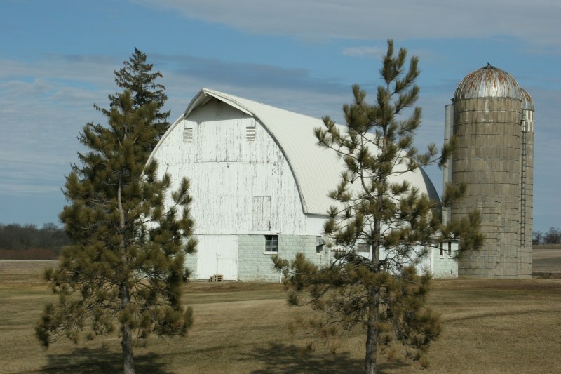 Barn, 11 se MN