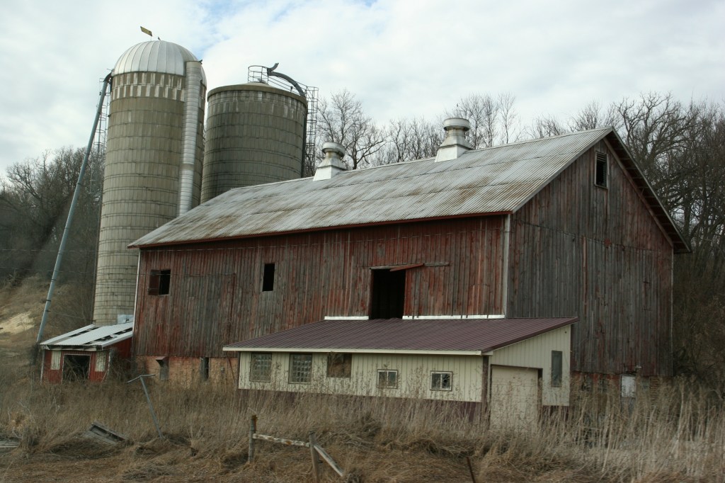 Barn, 14 se MN