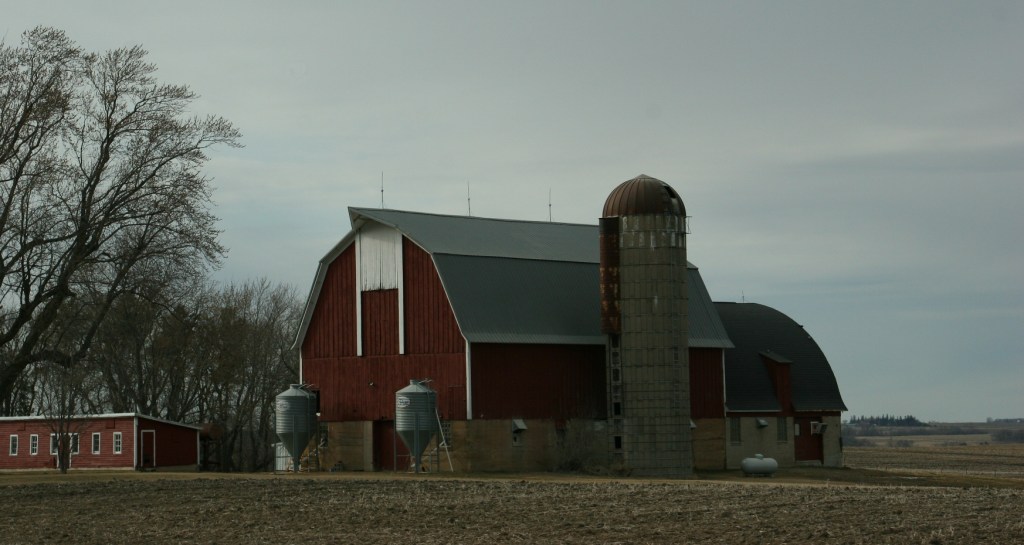 Barn, 21 se MN