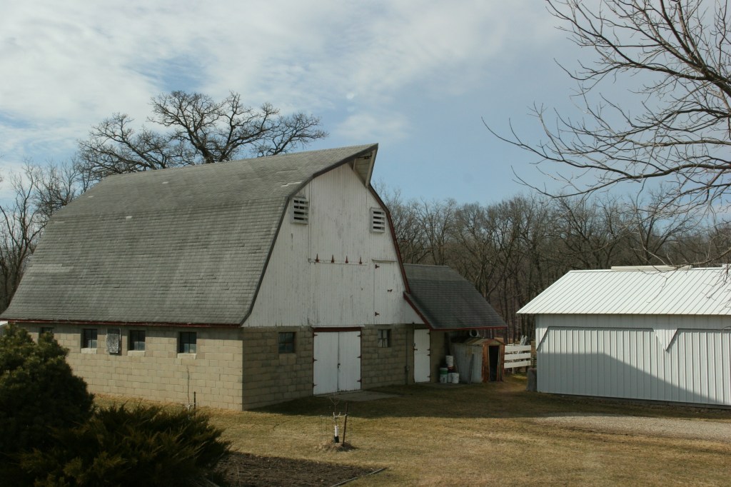 Barn, 7 se MN