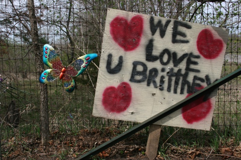 The flash of red that caught my eye.