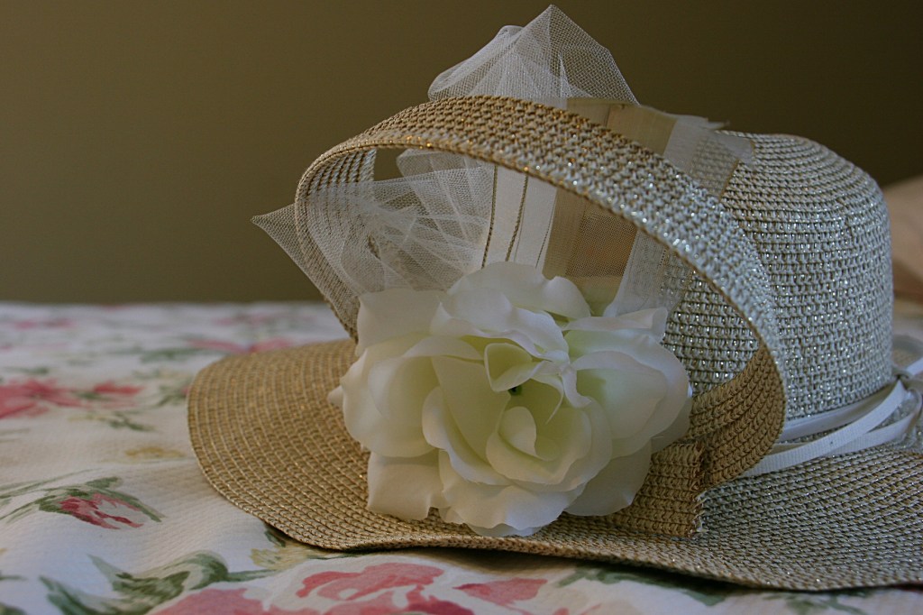 The fancy hat I purchased months ago for a Kentucky Derby party.