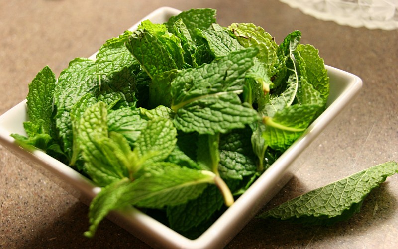 Fresh mint leaves for the mint juleps.