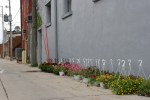 Iowa, hanging baskets in&nbsp;alley