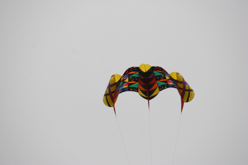 The vivid colors of this kite were a welcome visual jolt in the grey sky.