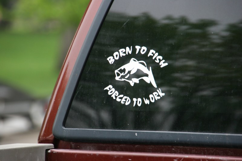 A fitting decal on a pick-up truck parked lakeside.