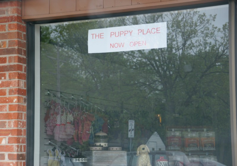 Right next to Papa Murphy's Pizza on Rice Street, the family-owned and operated The Puppy Place offers all things canine, including puppies for sale.