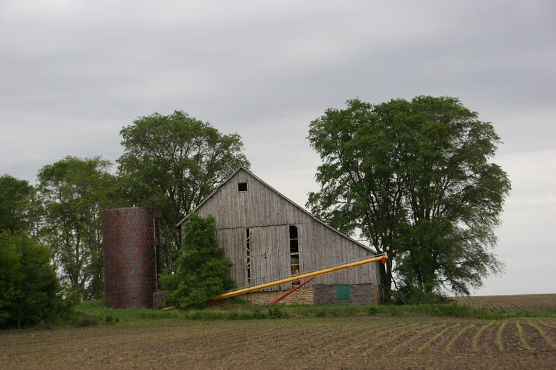 The greening of an abandoned farmsite between Faribault and Morristown.