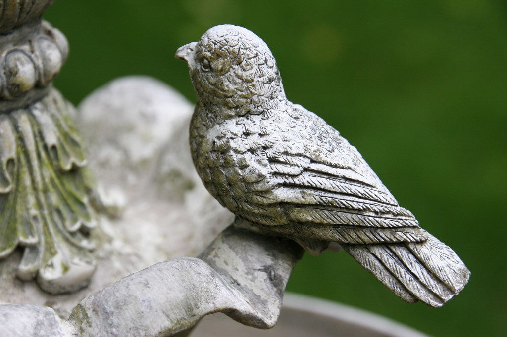 I won't give crows the satisfaction of photographing them. But I did photograph this bird on a tabletop fountain.