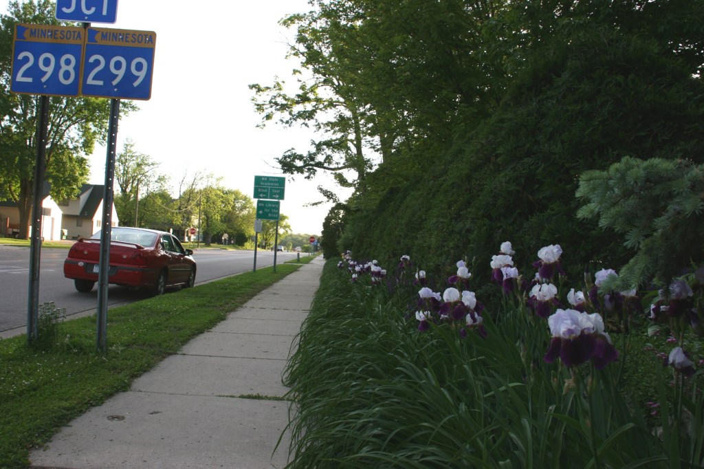 Irises stretch the length of the property along a stretch of Minnesota Highway 60.