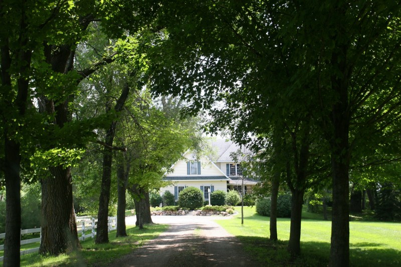 This inviting canopied gravel driveway leads wine lovers to Next Chapter Winery. The house is a private residence, not the tasting room as I initially thought.
