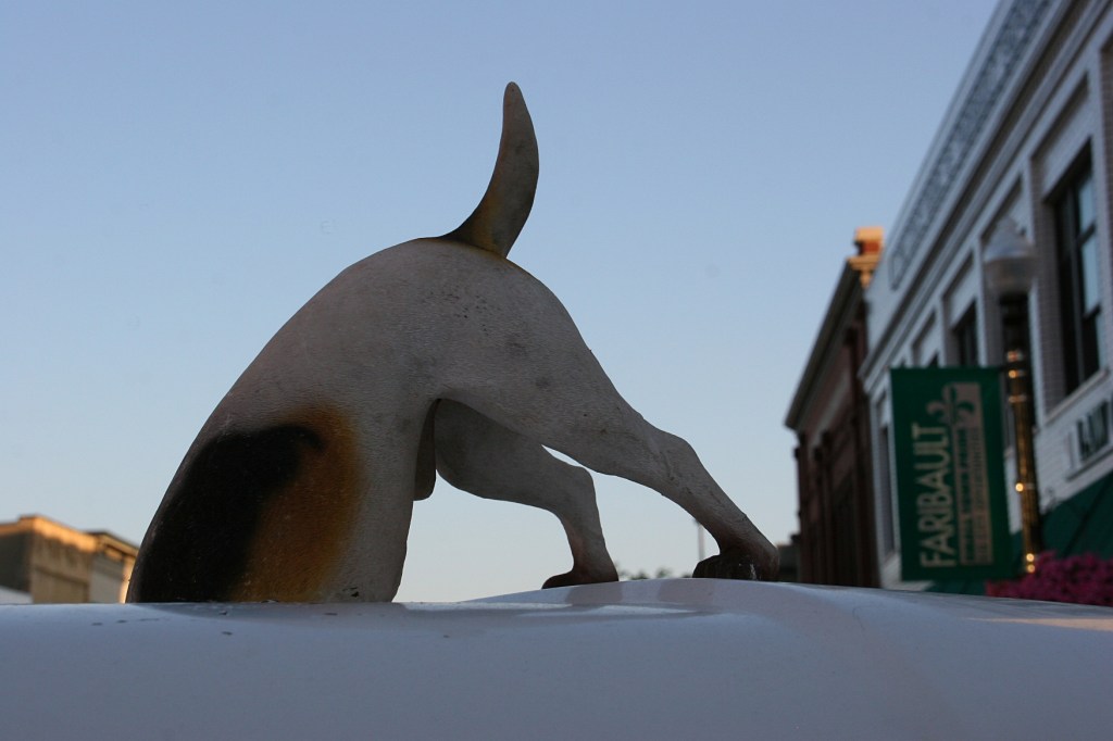 Typically, this dog's behind is attached to the back of the truck. But on this evening, it was resting on the roof. This made me laugh.